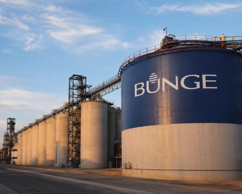 Bunge Stock Flat Despite Wheat Rising 3%; Oilseeds Account for 88% of Profit