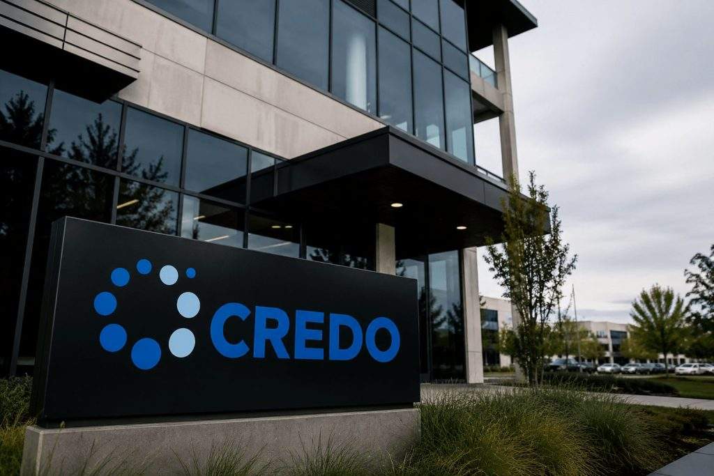 Credo Technology Stock (NASDAQ:CRDO) Recovers; 20-Times Sales Multiple Calls for Further Expansion