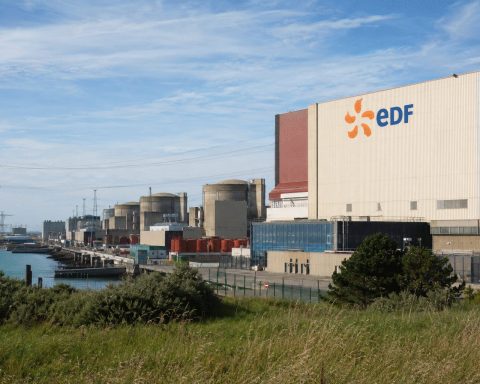 Jellyfish Surge at EDF Gravelines Poses Renewed €12.7 Million-a-Day Threat to Power Supply