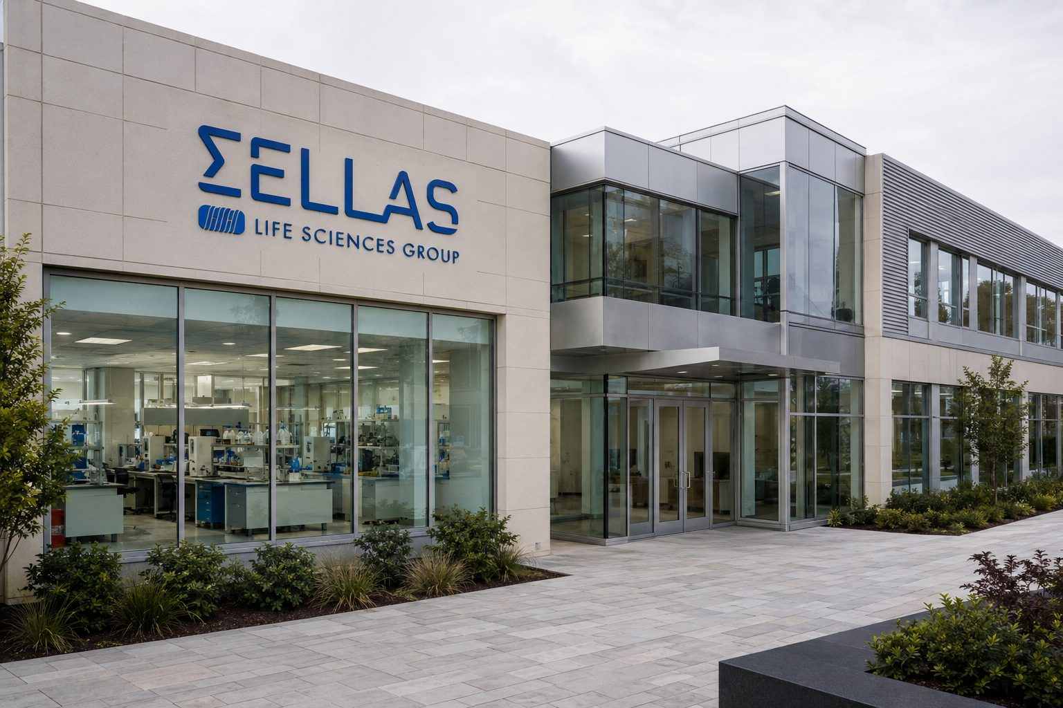 Las acciones de SELLAS suben un 15% mientras el mercado valora la empresa en 2.980 millones de dólares sobre efectivo antes de la actualización sobre pre-LMA Las acciones de SELLAS suben un 15% mientras el mercado valora la empresa en 2.980 millones de dólares sobre efectivo antes de la actualización sobre pre-LMA