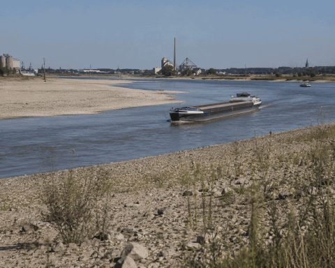 Rhine Water Level at 8 Centimetres Poses 1% Threat to German Industrial Output