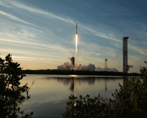 SpaceX Shares Edge Up 0.5% with $1.86 Trillion Value as Quarterly Capex Hits $18.4 Billion