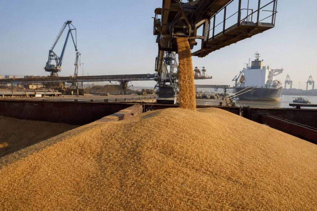 Sugar Futures Fall as India Attributes Price Surge to Speculation