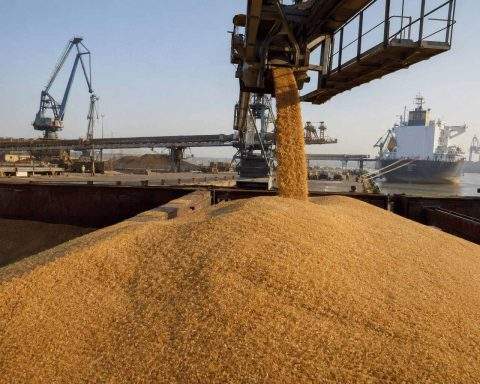 Sugar Futures Fall as India Attributes Price Surge to Speculation